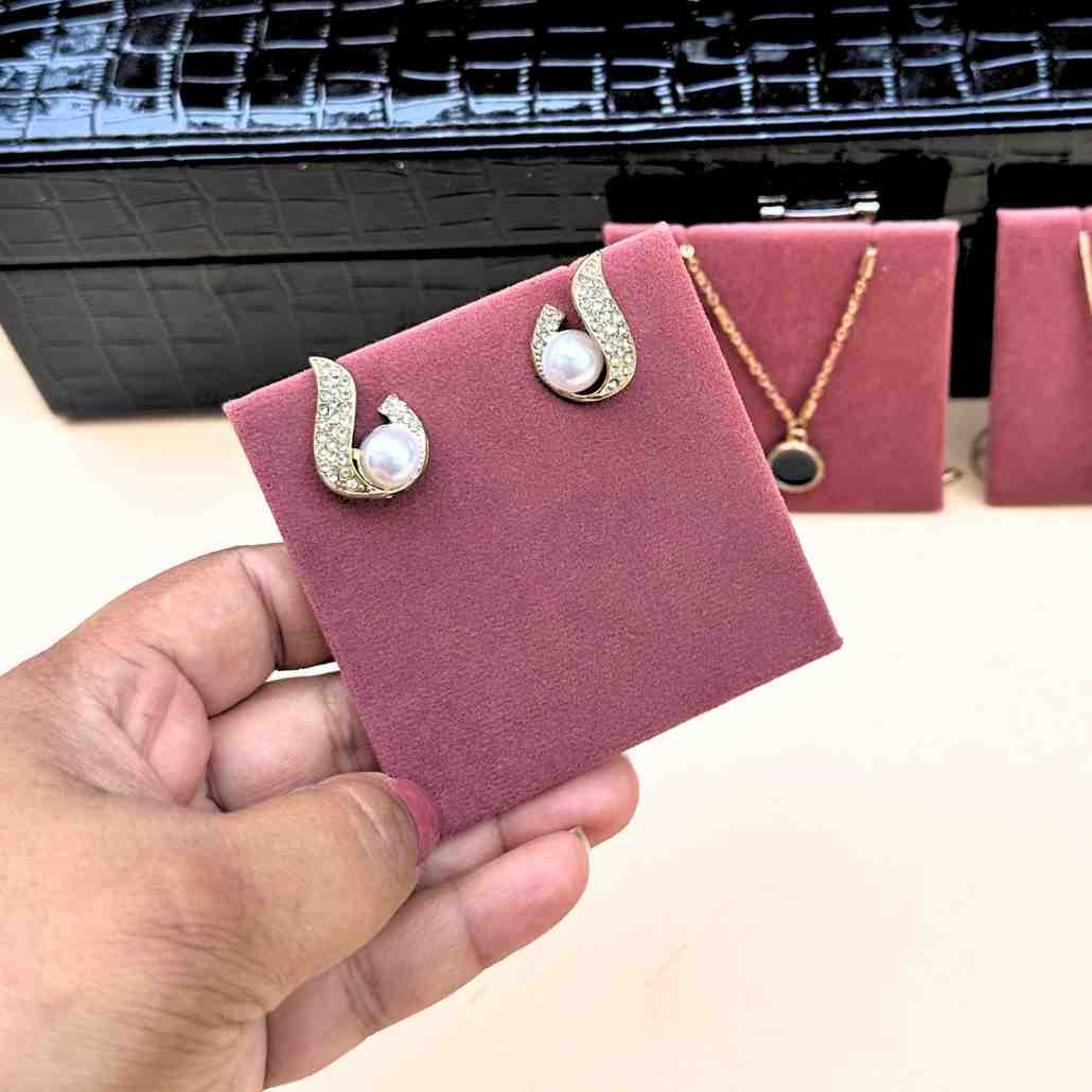 Earrings Organizer Holder