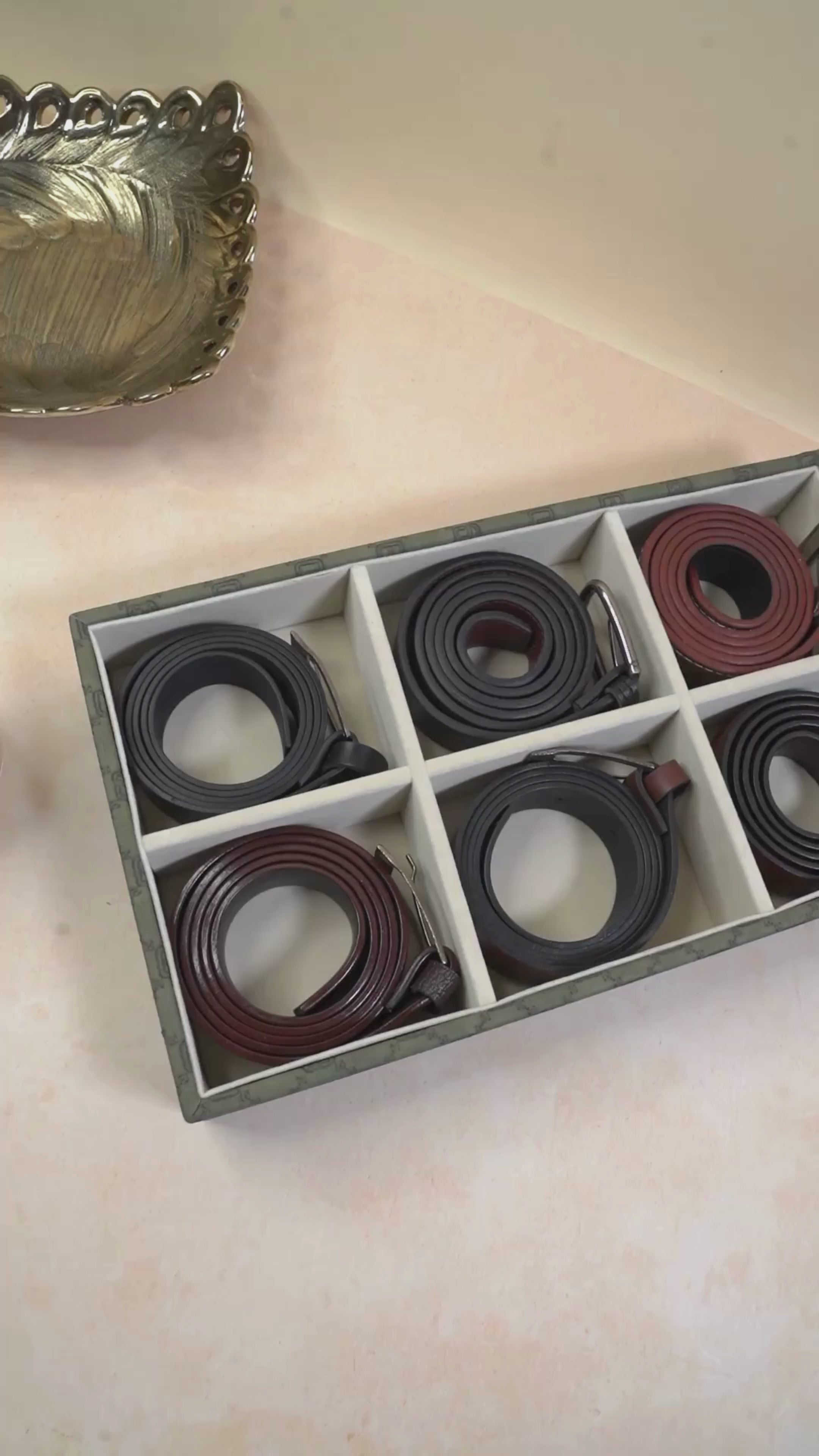 Designer 6-Slot Belt Tray